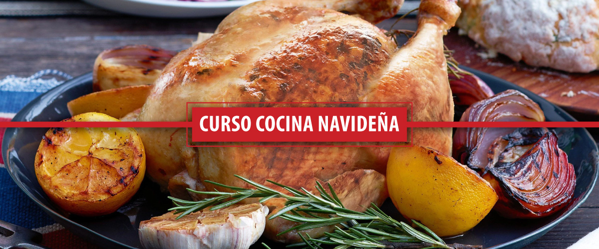 slider-curso-navidena